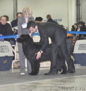 Превью фото № 120296