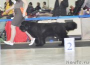 Превью фото № 120304