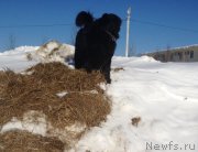 Превью фото № 120458