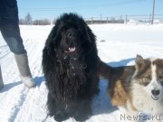 Превью фото № 120548