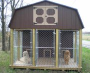 Превью фото № 120556