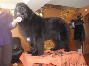 Превью фото № 120558