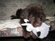 Превью фото № 120580