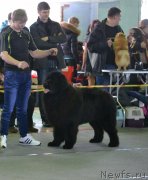 Превью фото № 120602