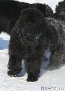 Превью фото № 120607