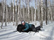 Превью фото № 120631