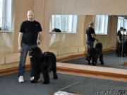 Превью фото № 120641