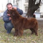 Превью фото № 1207