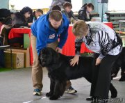 Превью фото № 120716
