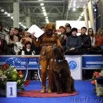 Превью фото № 120740