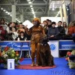 Превью фото № 120741