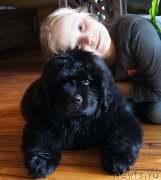 Превью фото № 120749