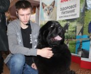 Превью фото № 120790