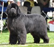 Превью фото № 120802