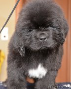 Превью фото № 120807