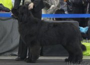 Превью фото № 120814