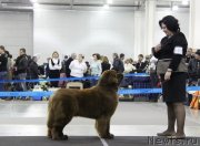 Превью фото № 120818