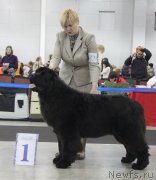 Превью фото № 120829