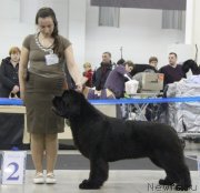 Превью фото № 120830