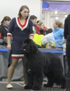 Превью фото № 120831