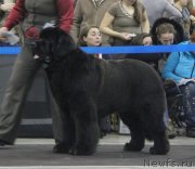 Превью фото № 120837