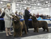 Превью фото № 120840