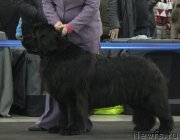 Превью фото № 120851