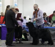 Превью фото № 120853