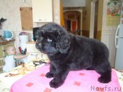 Превью фото № 120881