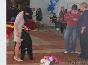 Превью фото № 120914