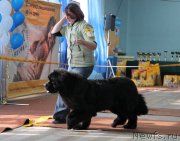 Превью фото № 120922