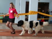 Превью фото № 120938