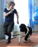 Превью фото № 120940