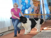 Превью фото № 120944