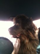 Превью фото № 120978