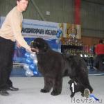 Превью фото № 12098