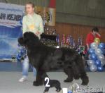 Превью фото № 12106