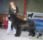 Превью фото № 12110