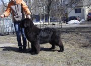 Превью фото № 121165