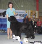 Превью фото № 12117