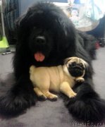 Превью фото № 121170