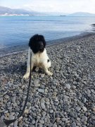 Превью фото № 121171