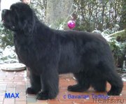 Превью фото № 121223