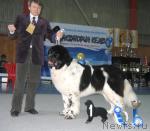 Превью фото № 12123