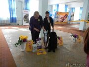 Превью фото № 121340