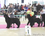 Превью фото № 121418