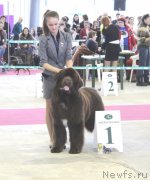 Превью фото № 121423