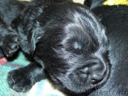 Превью фото № 121484