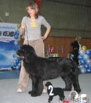 Превью фото № 12154