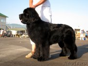 Превью фото № 121553